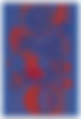 auction-image
