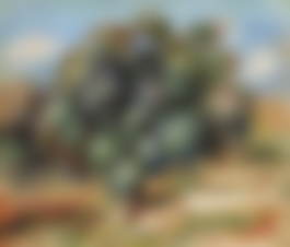 auction-image