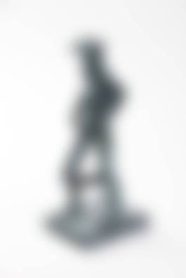 auction-image