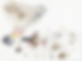 auction-image