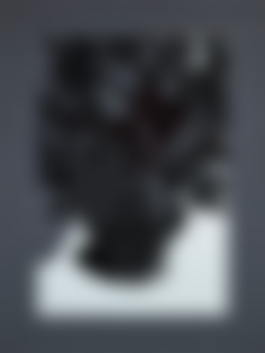 auction-image