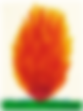 auction-image