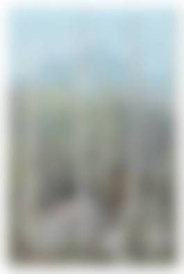 auction-image