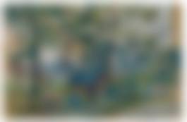 auction-image