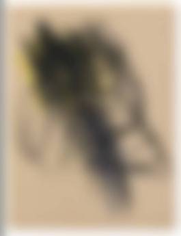 auction-image