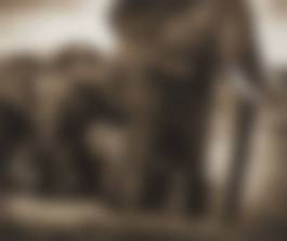 auction-image