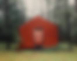 auction-image