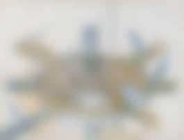 auction-image