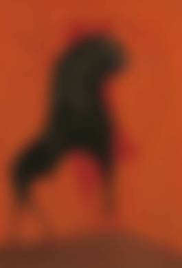 auction-image