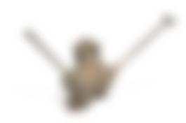 auction-image