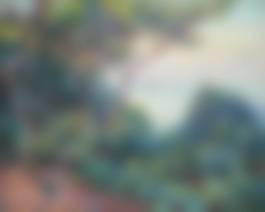 auction-image