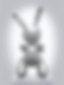 auction-image
