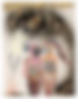 auction-image