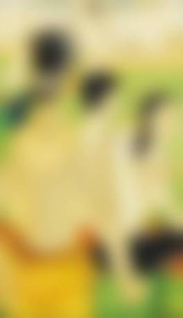 auction-image