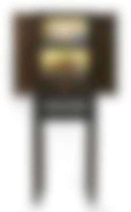 auction-image
