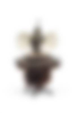 auction-image