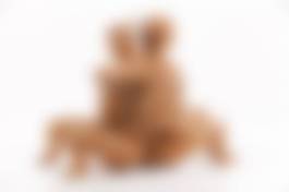 auction-image