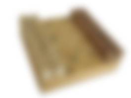 auction-image