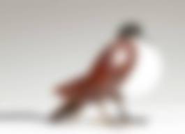 auction-image