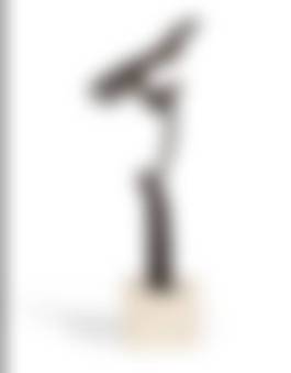 auction-image