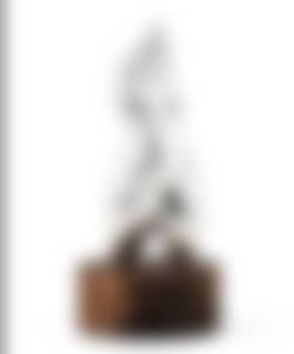 auction-image