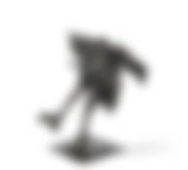 auction-image