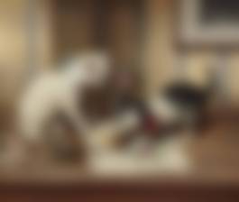 auction-image