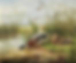 auction-image