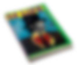 auction-image
