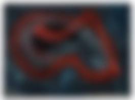 auction-image