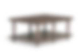 auction-image