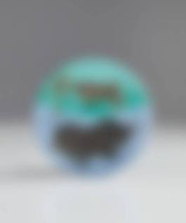 auction-image