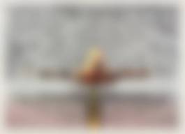 auction-image