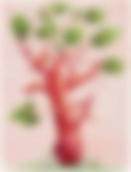 auction-image
