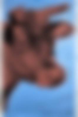 auction-image