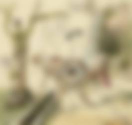 auction-image