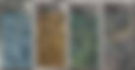 auction-image