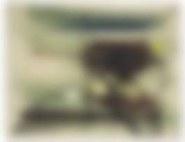 auction-image