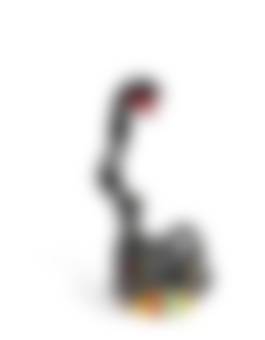 auction-image