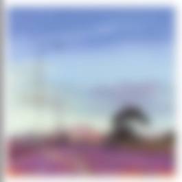 auction-image