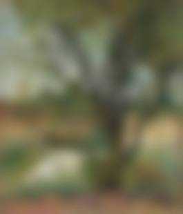 auction-image