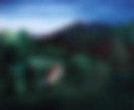 auction-image
