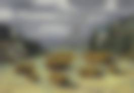 auction-image