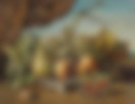 auction-image