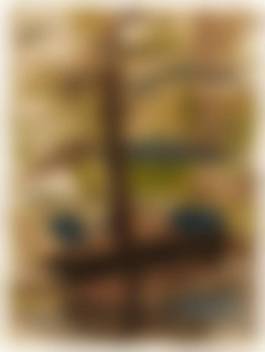 auction-image