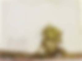 auction-image