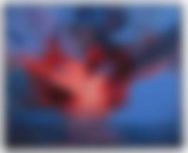 auction-image