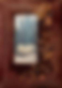 auction-image