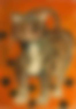 auction-image