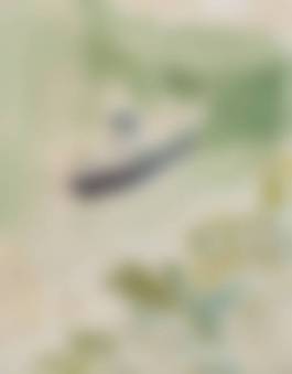 auction-image